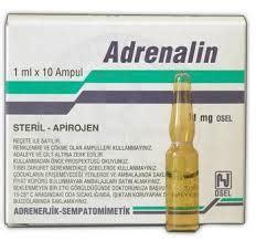 Adrenalin 0,25 Mg 10 Ampul