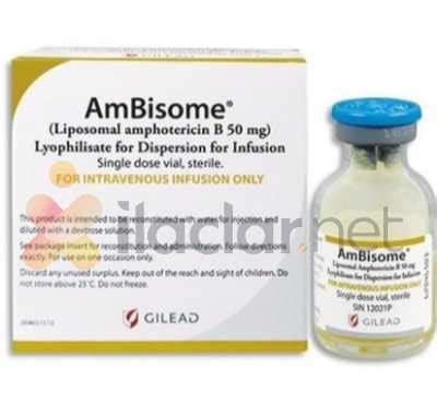 Ambisome 50 Mg Iv Infuzyon Icin Liyofilize Toz Iceren 10 Flakon
