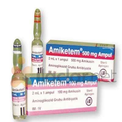 Amiketem 100 Mg/2 Ml Enjeksiyonluk Cozelti