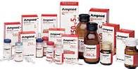 Ampisid Im 500 Mg 1 Flakon