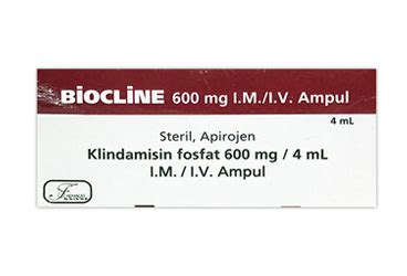 Biocline 600 Mg 1 Ampul