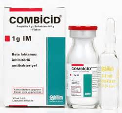 Combicid Im 1000 Mg 1 Flakon