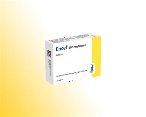 Encef 300 Mg 20 Kapsul