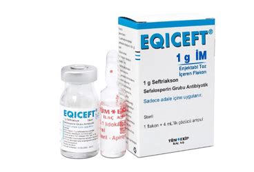 Eqiceft 1 G Im Enjeksiyonluk Cozelti Hazirlamak Icin Toz (3 Flakon,3 Ampul)