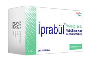 Iprabul 500 Mcg / 2 Ml Nebulizasyon Icin Inhalasyon Cozeltisi