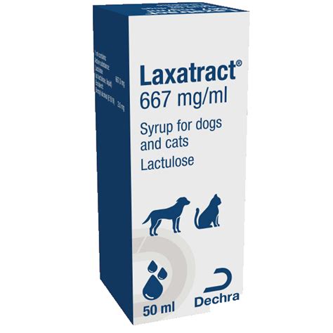 Laktilit 667 Mg/ml Surup (300 Ml)