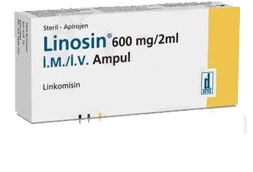 Linkoles Ampul 2 Ml 600 Mg 1 Ampul