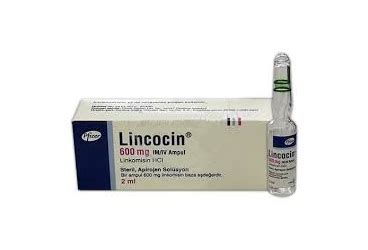 Linkomed 600 Mg/2 Ml Enjeksiyonluk Cozelti ( 1 Ampul)
