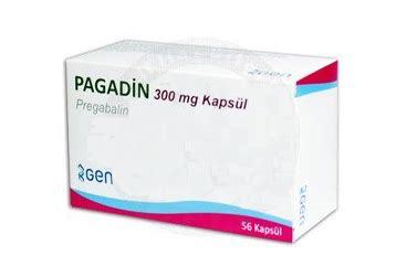 Pagadin 300 Mg 28 Kapsul
