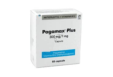 Pagamax Plus 300/1 Mg 60 Kapsul