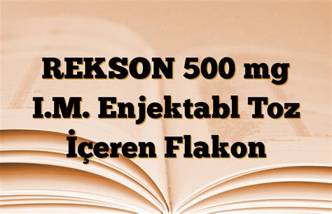 Rekson 500 Mg Im Enjektabl Toz Iceren 1 Flakon