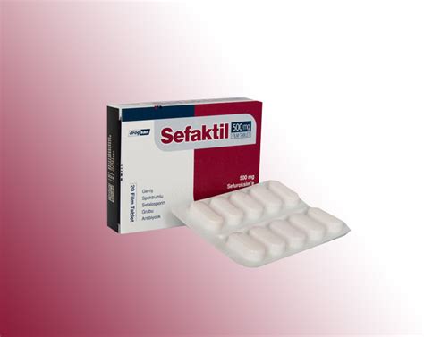 Sefaktil 500 Mg 14 Film Tablet