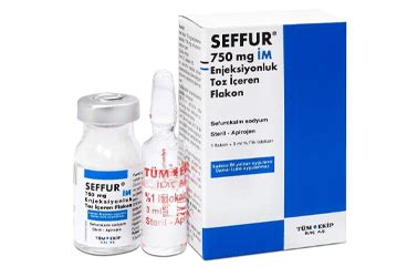 Seffur 750 Mg Im Enjeksiyonluk Toz Iceren Flakon