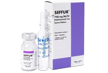 Seffur 750 Mg/iv Enjeksiyonluk Toz Iceren Flakon