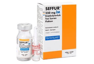 Tugens 250 Mg Im Enjeksiyon Icin Toz Iceren Flakon